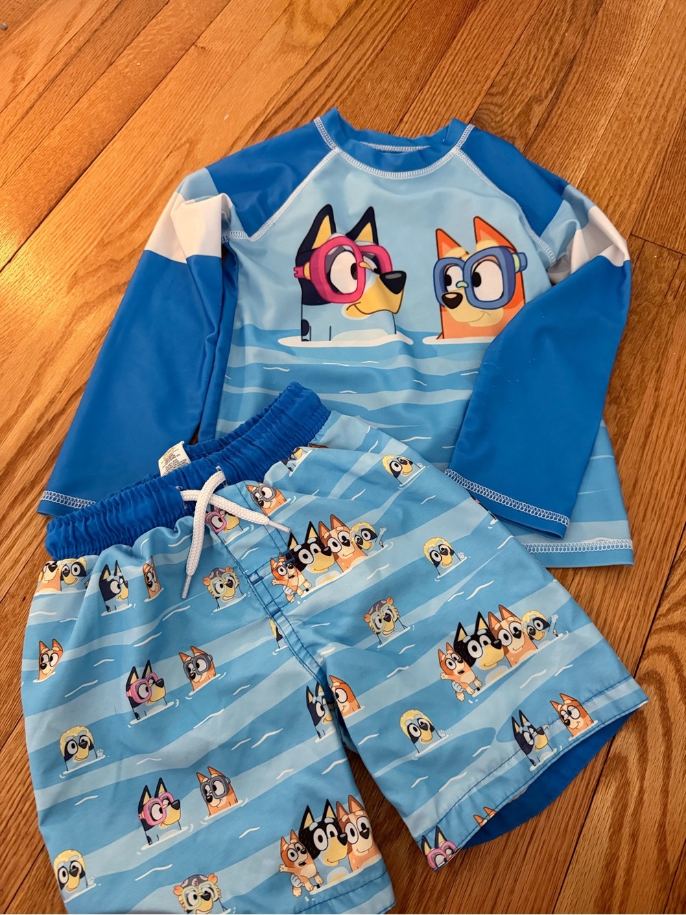 Bluey Toddler Boy Bathing Suit & RashGuard Set 4T